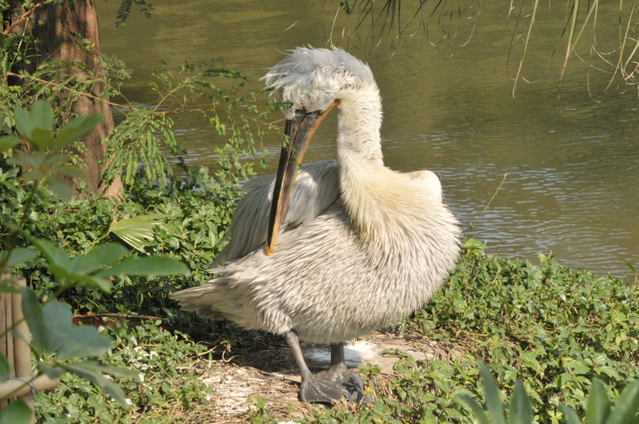DSC_3567.jpg