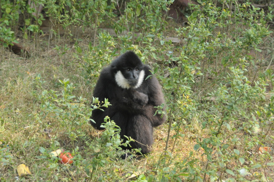 DSC_3569.jpg