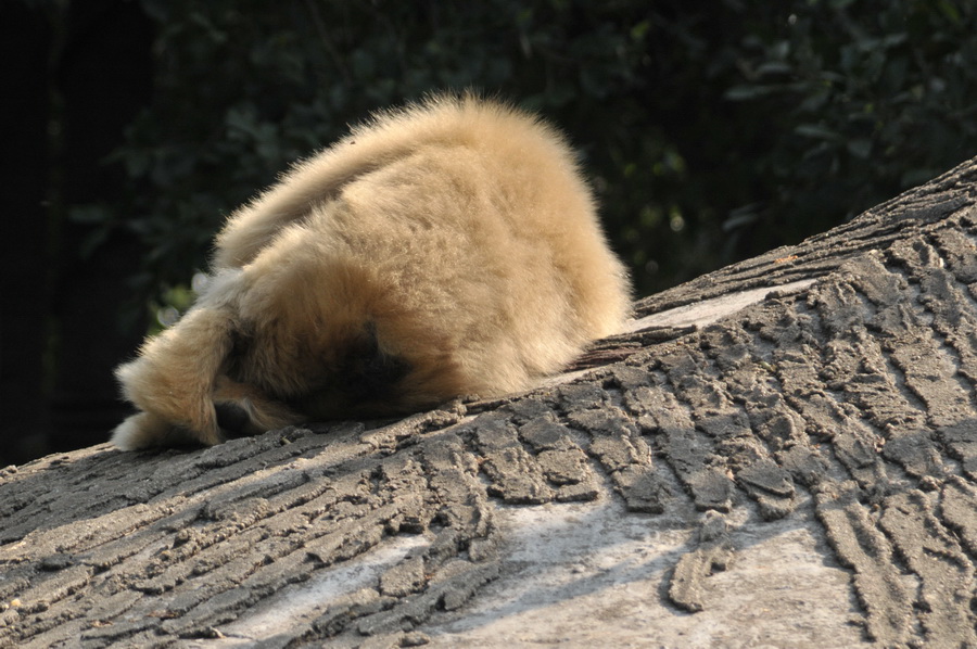 DSC_3573.jpg