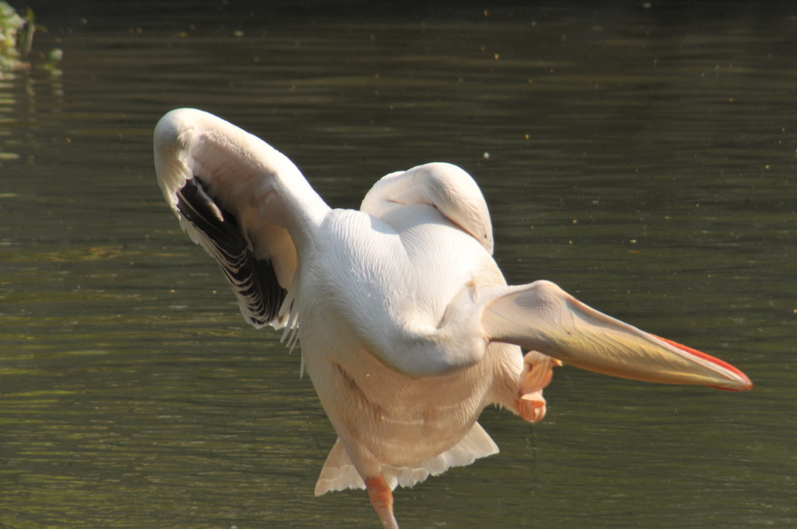 DSC_3577.jpg
