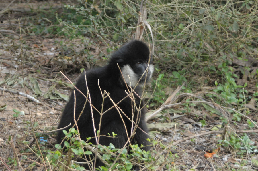 DSC_3578.jpg