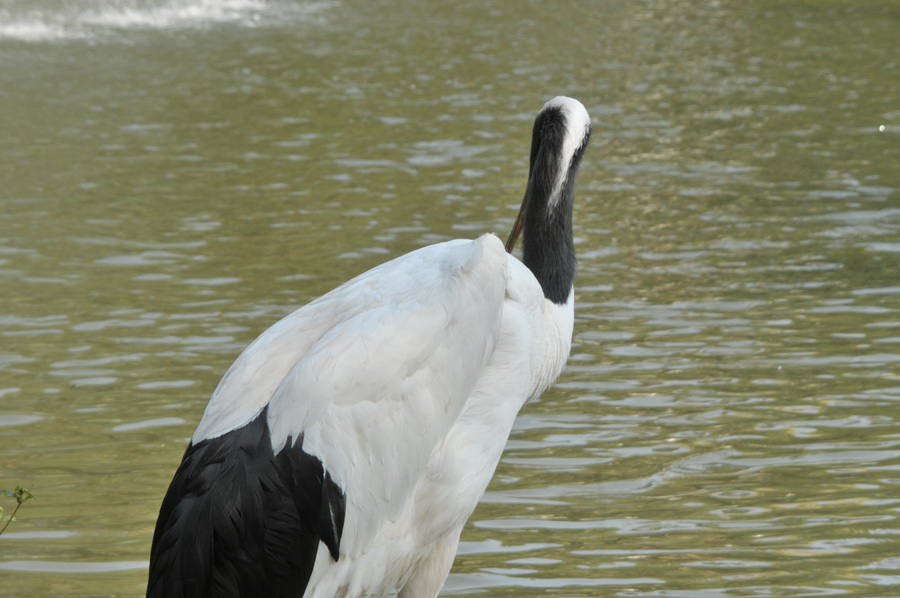 DSC_3580.jpg