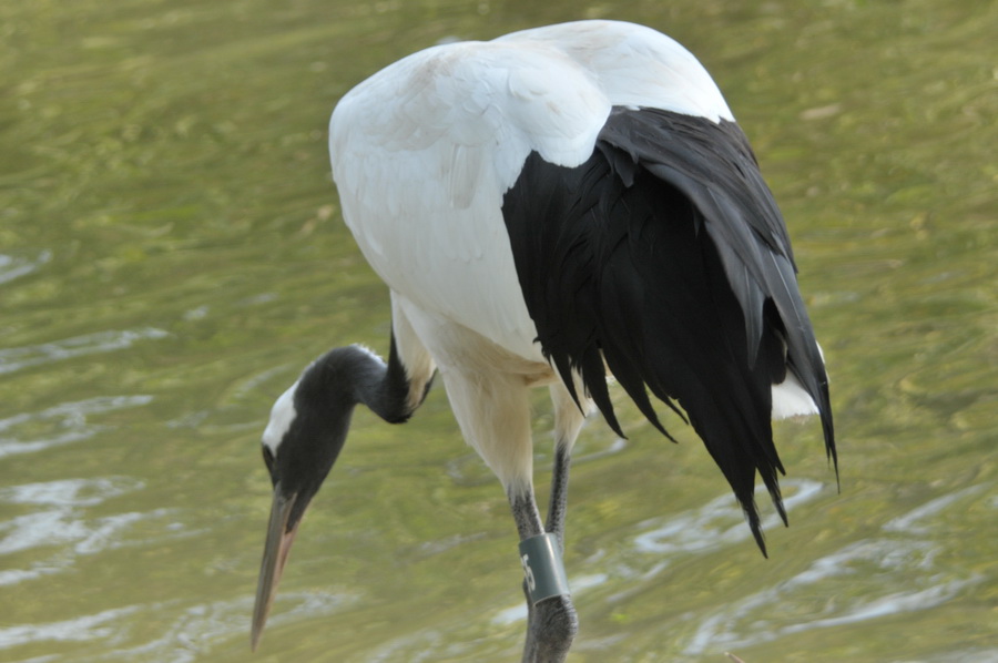 DSC_3581.jpg