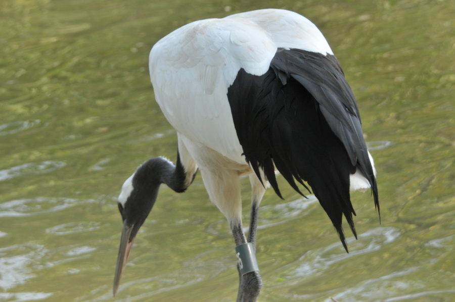 DSC_3582.jpg