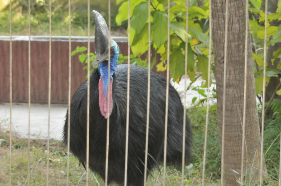 DSC_3585.jpg