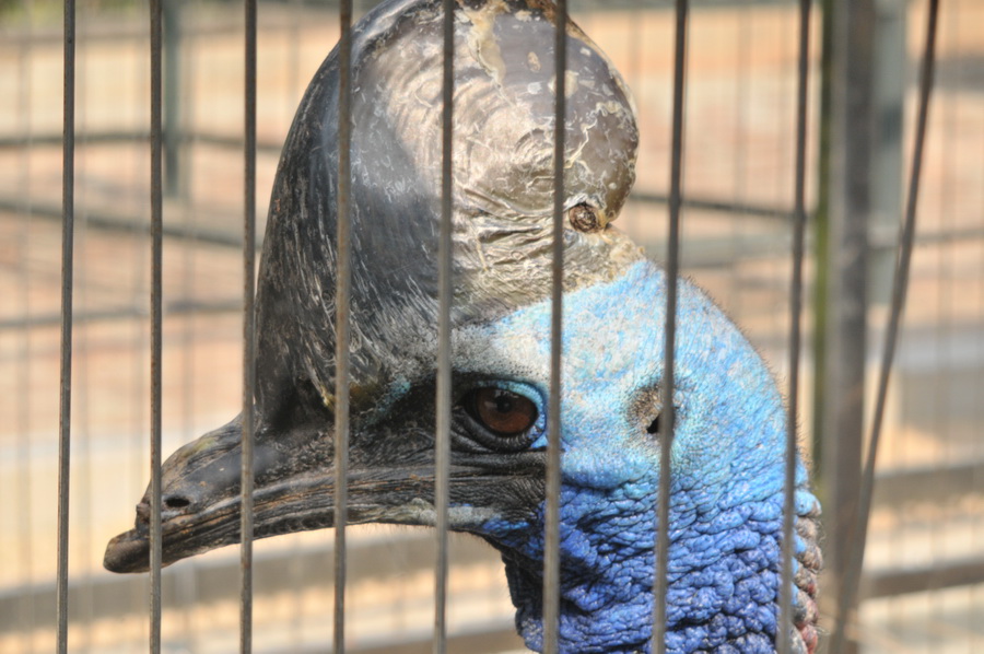 DSC_3591.jpg