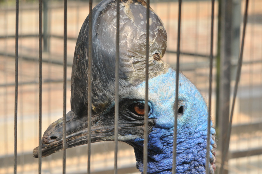DSC_3592.jpg