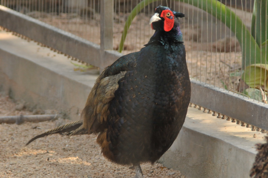 DSC_3596.jpg