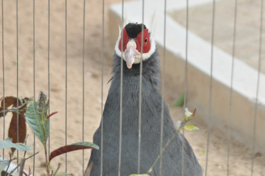 DSC_3597.jpg