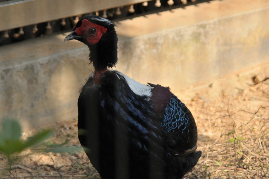 DSC_3598.jpg