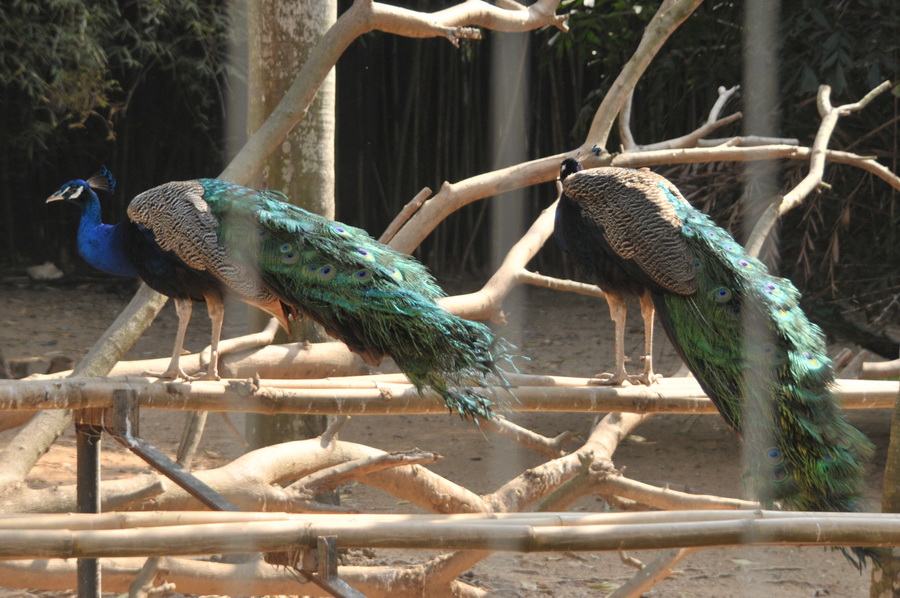 DSC_3604.jpg