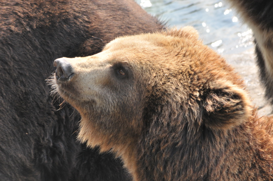 DSC_3632.jpg