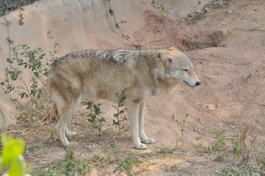 DSC_3640.jpg