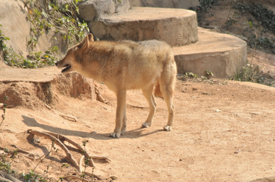 DSC_3641.jpg