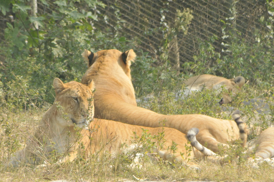 DSC_3656.jpg