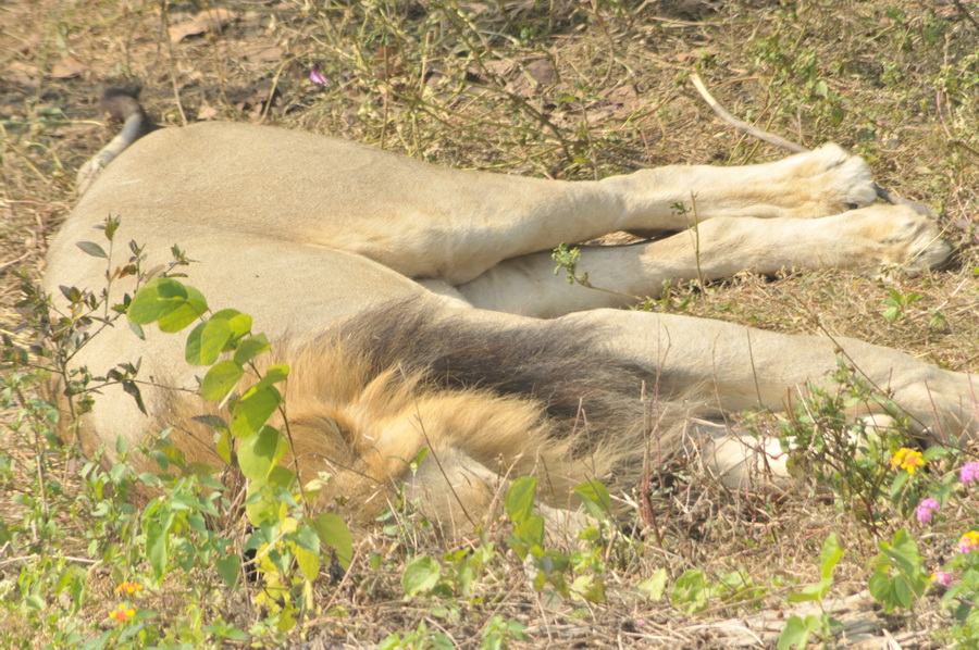 DSC_3661.jpg