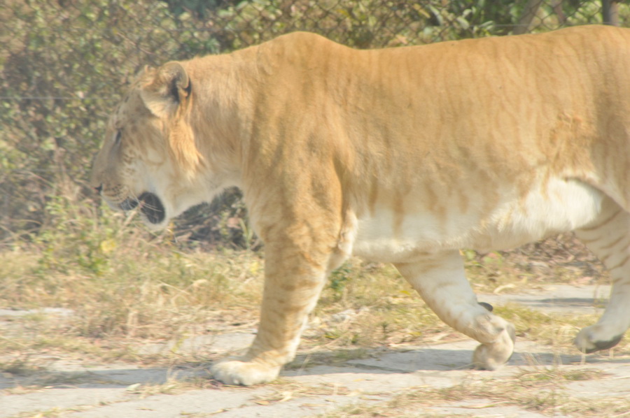 DSC_3663.jpg