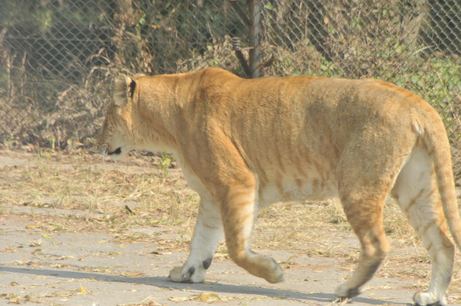 DSC_3671.jpg