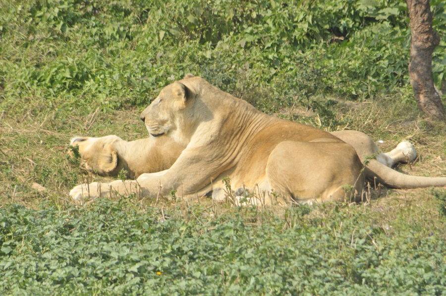 DSC_3679.jpg