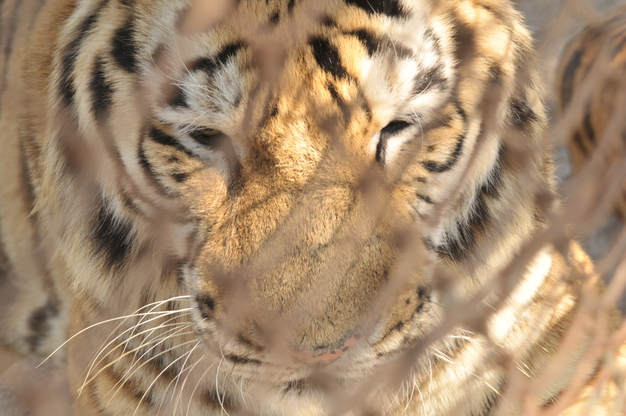 DSC_3772.jpg