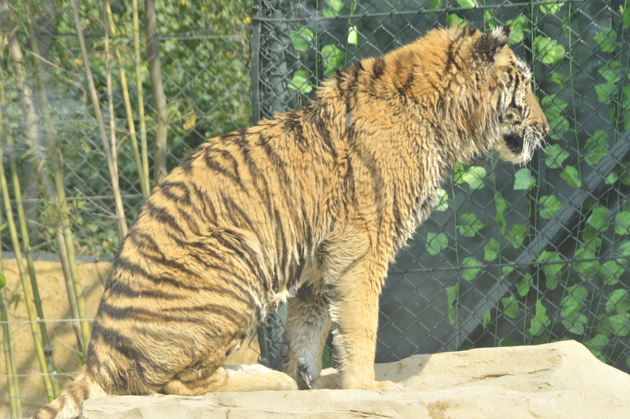 DSC_3781.jpg