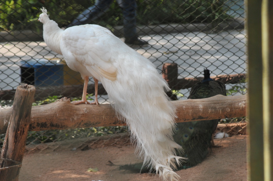 DSC_3782.jpg