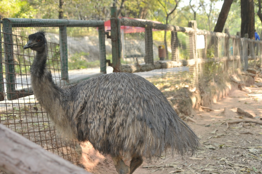 DSC_3791.jpg