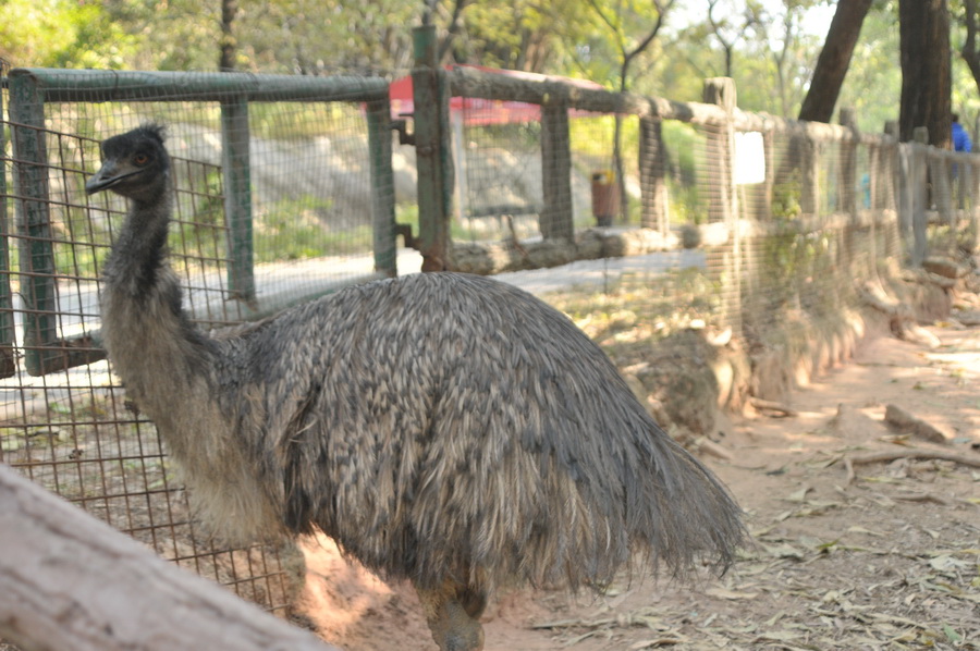 DSC_3792.jpg