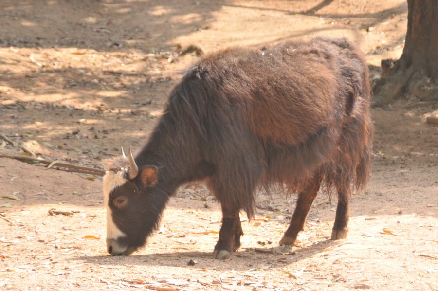 DSC_3795.jpg