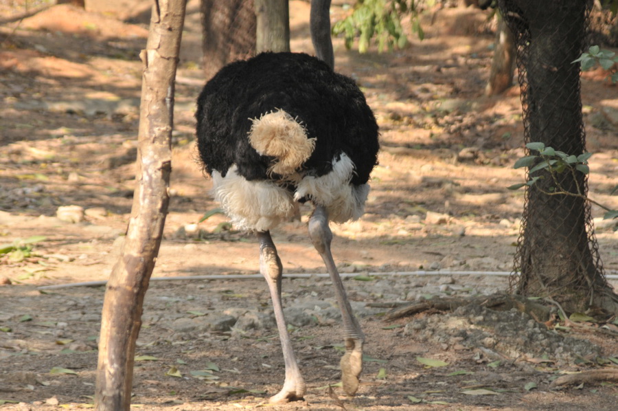 DSC_3803.jpg