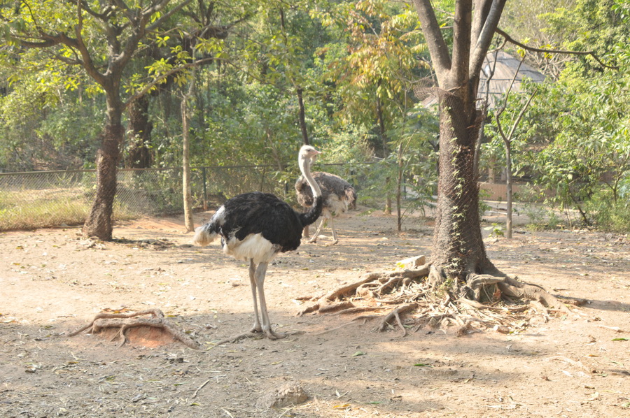 DSC_3808.jpg