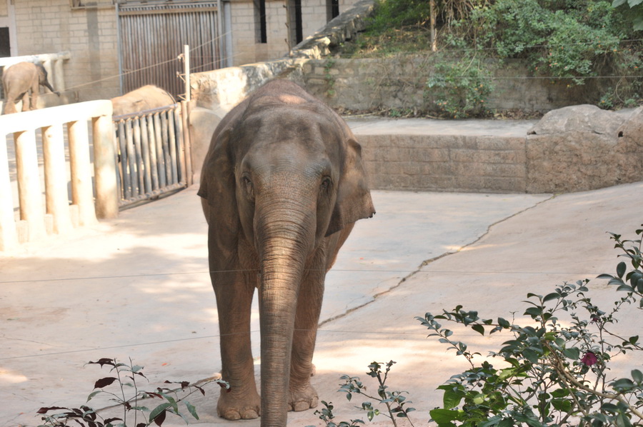 DSC_3868.jpg