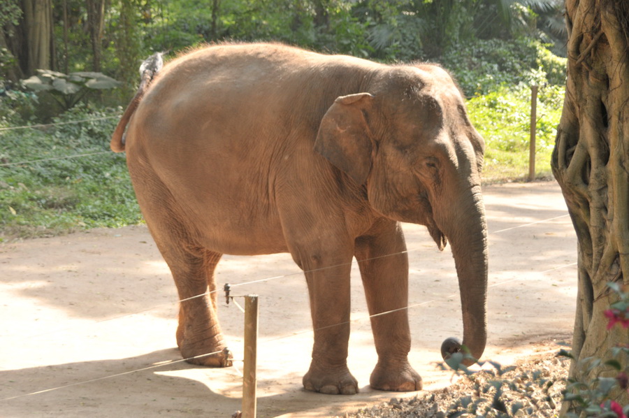 DSC_3869.jpg