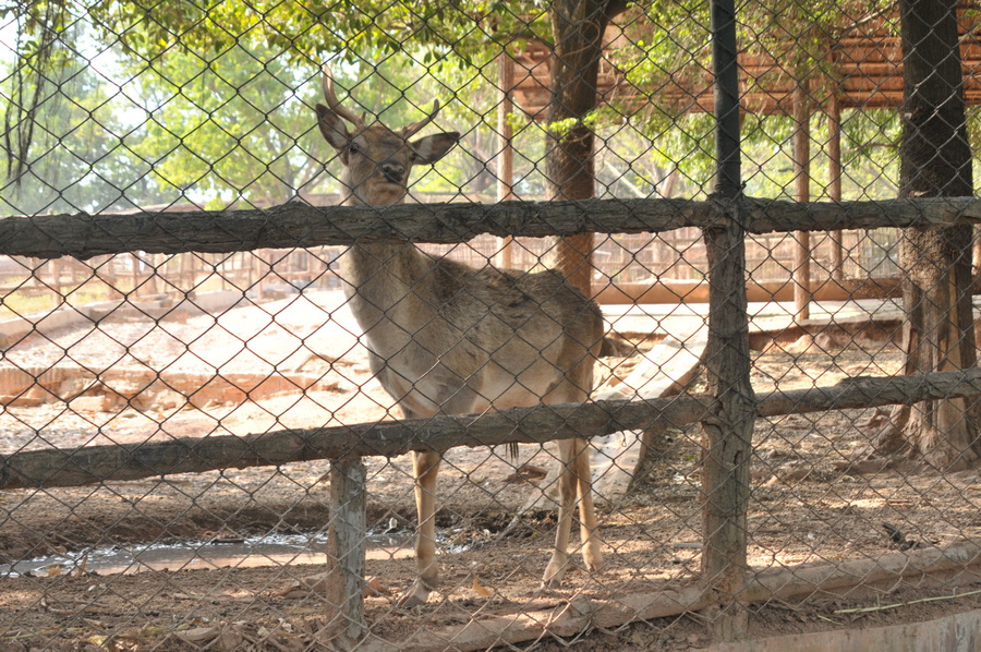DSC_3893.jpg