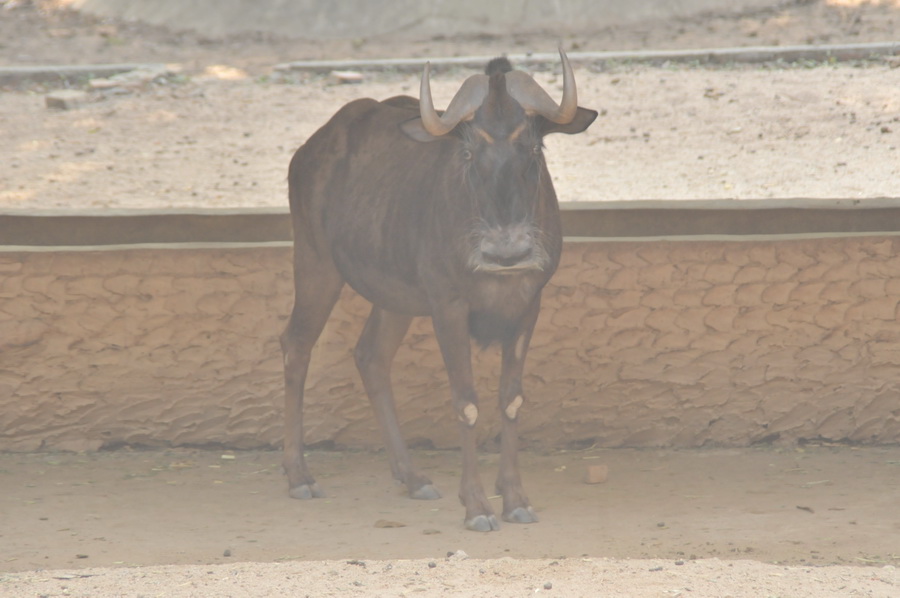 DSC_3937.jpg