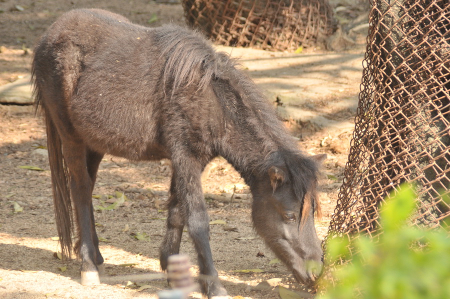 DSC_3948.jpg