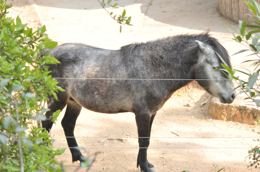 DSC_3949.jpg