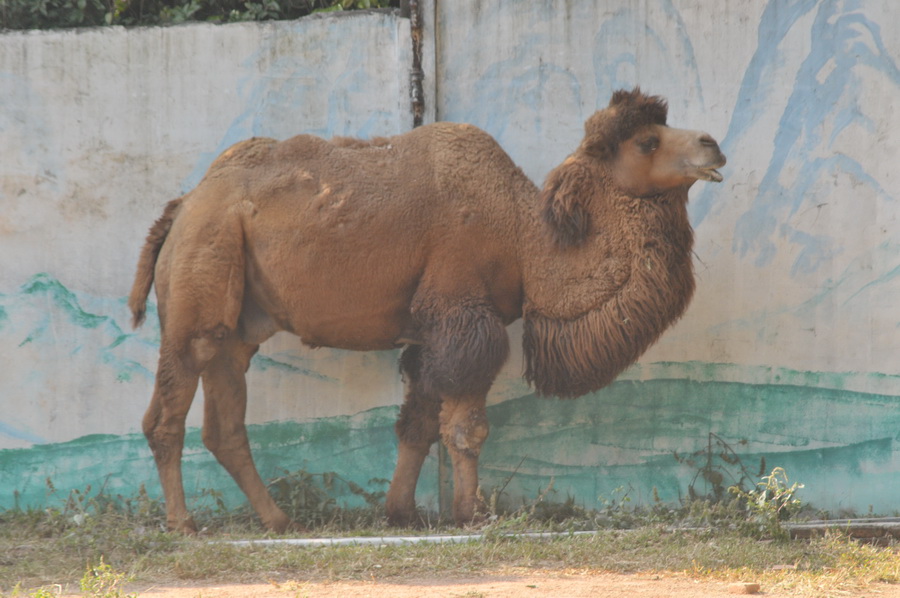 DSC_3985.jpg