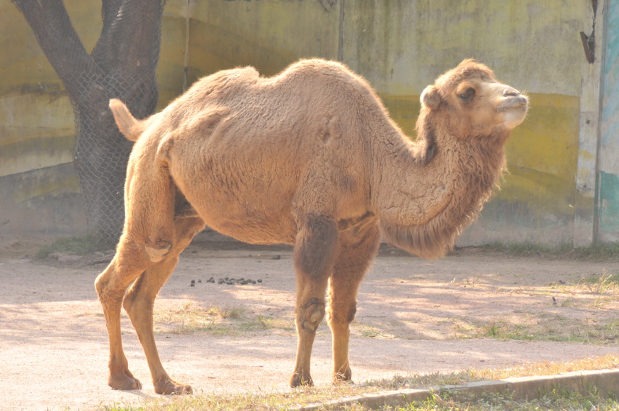DSC_3986.jpg