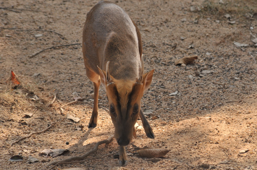 DSC_4014.jpg