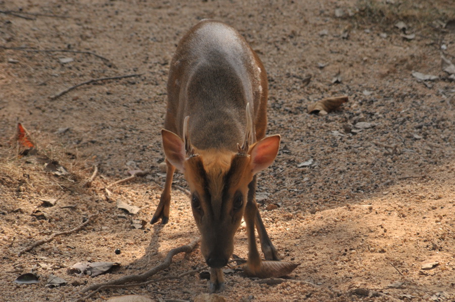 DSC_4015.jpg