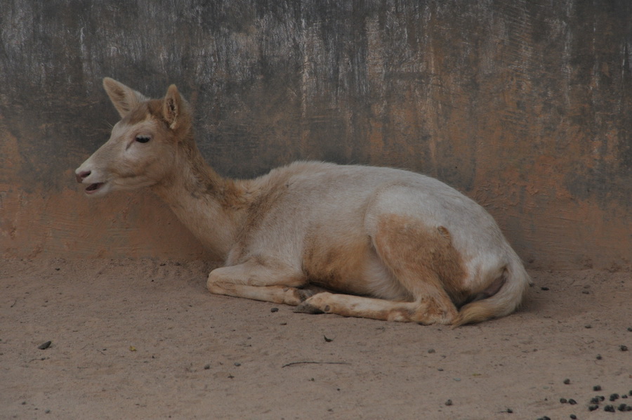 DSC_4020.jpg