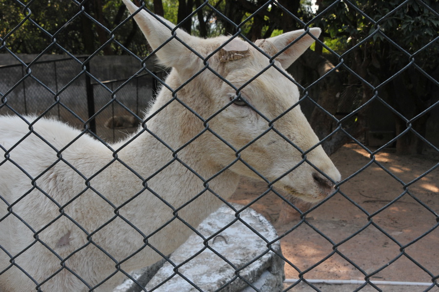 DSC_4021.jpg
