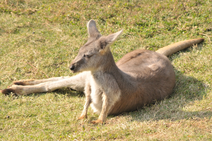 DSC_4023.jpg