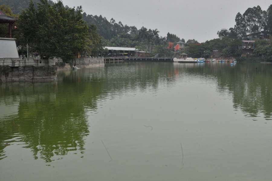 DSC_4100.jpg
