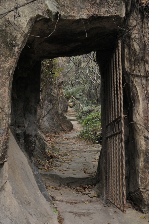 DSC_4125.jpg