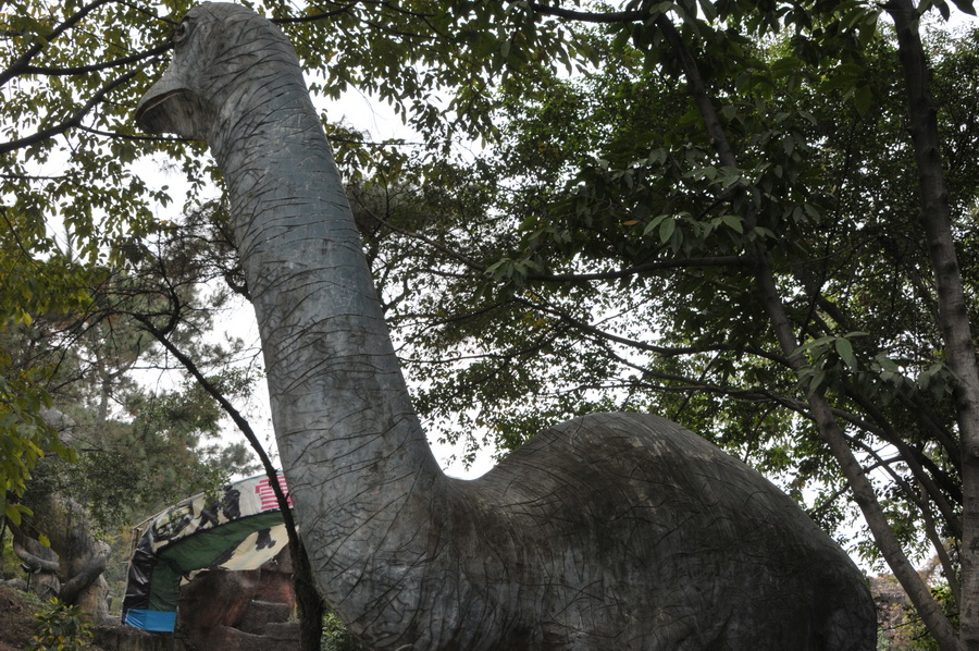 DSC_4170.jpg