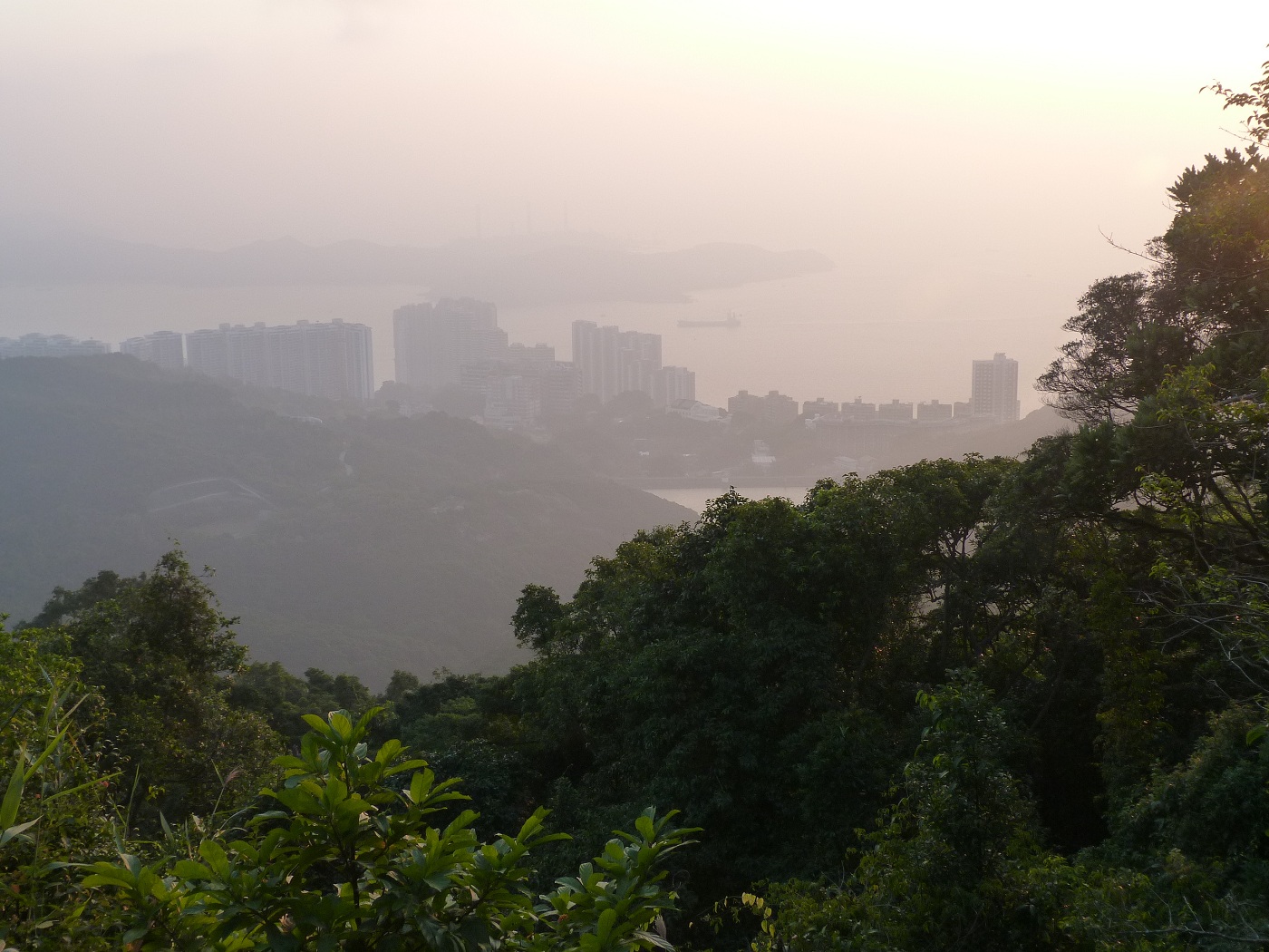 1P1010514.jpg