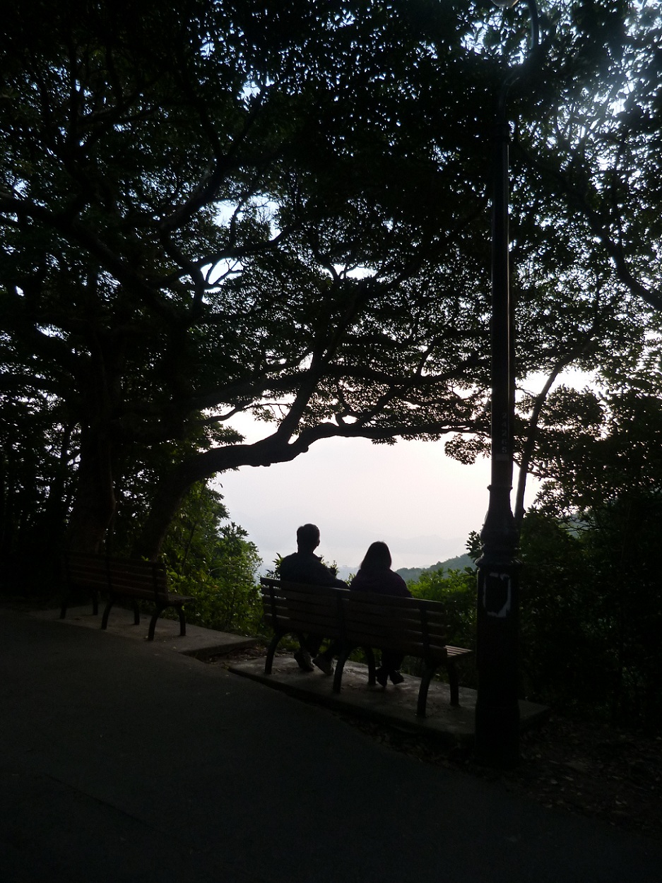 1P1010520.jpg