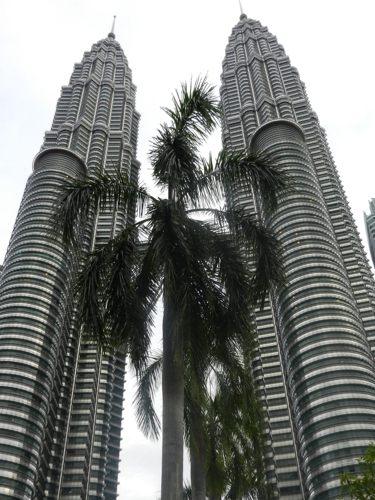 RSCN2578.JPG